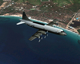 Plane flying over beach